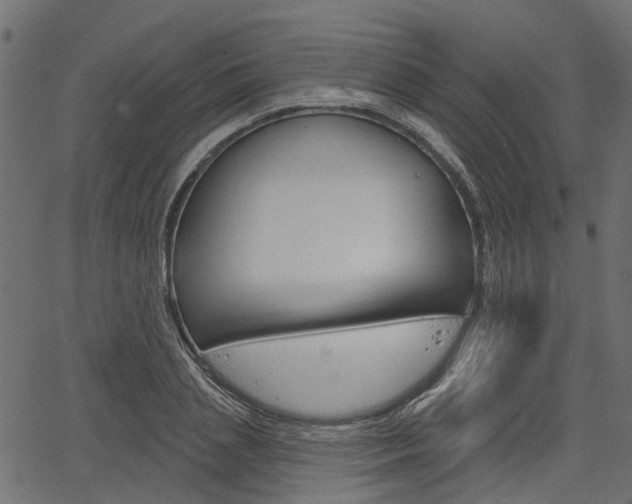 X0000067350837200603310858