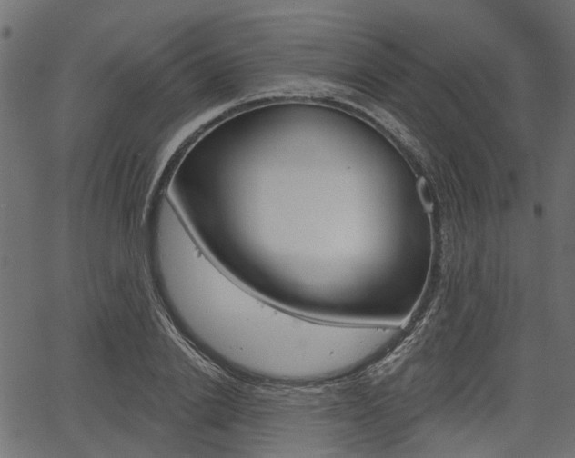 X0000067350838200603310858