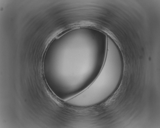 X0000067350850200603310858