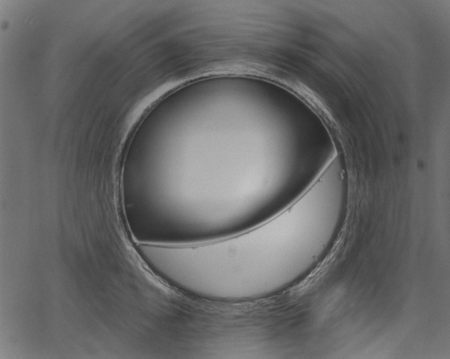 X0000067350854200603310858
