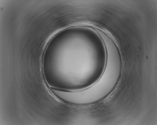 X0000067350862200603310858