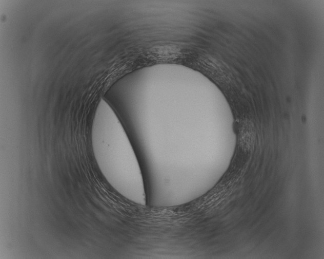 X0000067350866200603310857
