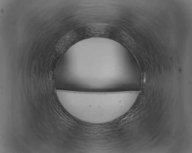 X0000067350867200603310857
