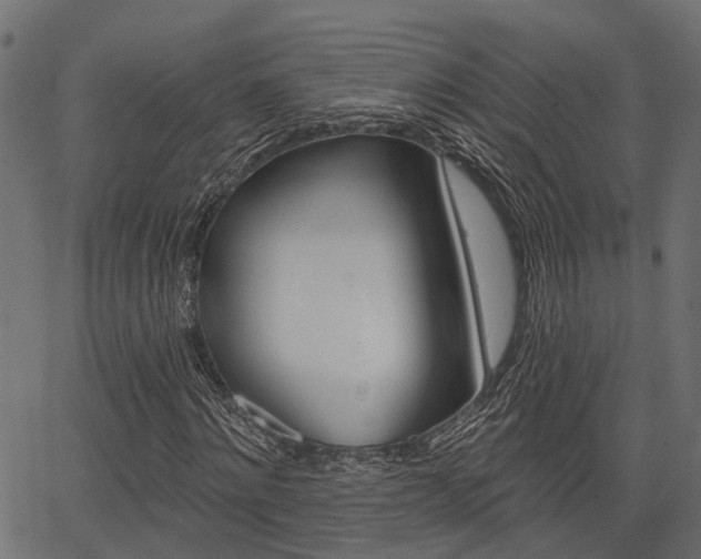 X0000067350868200603310857