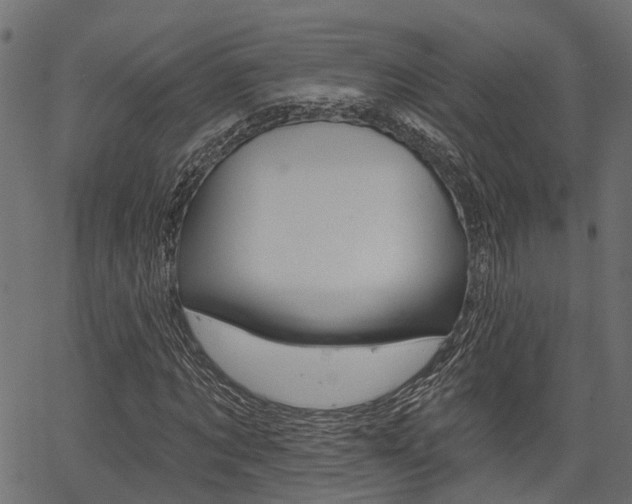 X0000067350869200603310857