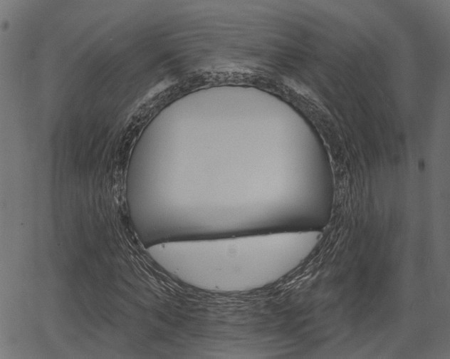 X0000067350870200603310857