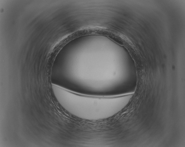 X0000067350872200603310857