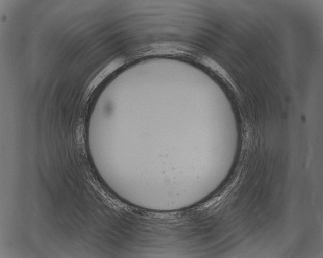X0000067350874200603310857