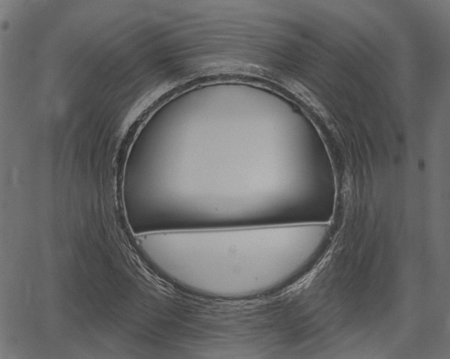 X0000067350877200603310857