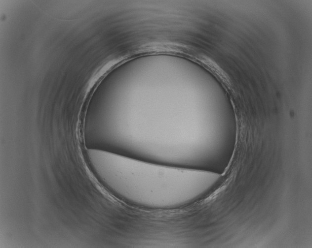 X0000067350893200603310857