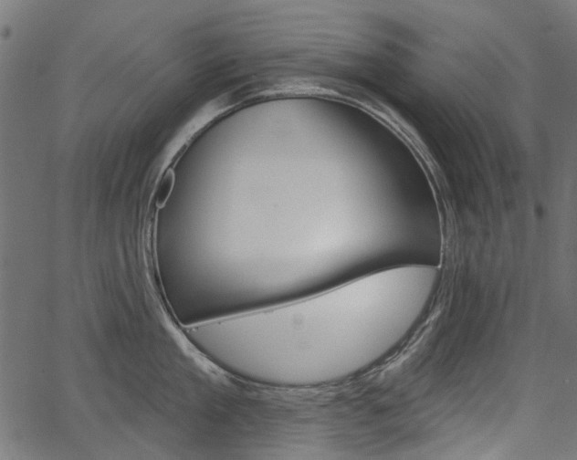 X0000067350909200603310857