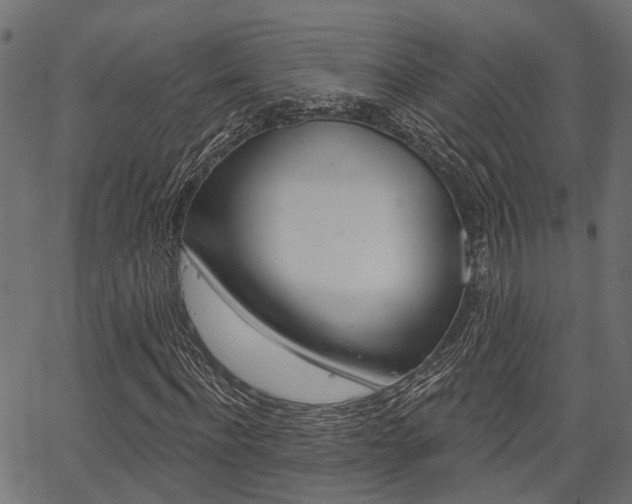 X0000067350916200603310856
