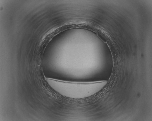 X0000067350920200603310856