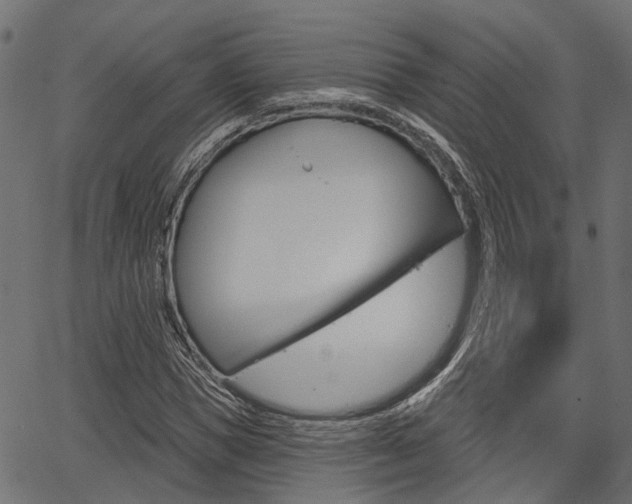 X0000067350921200603310856