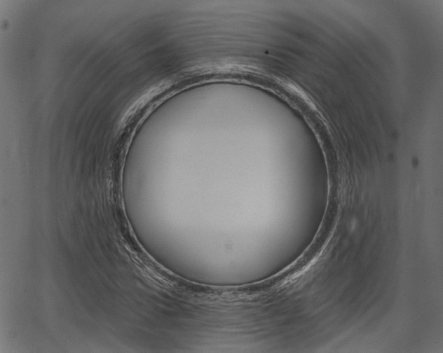 X0000067350922200603310856