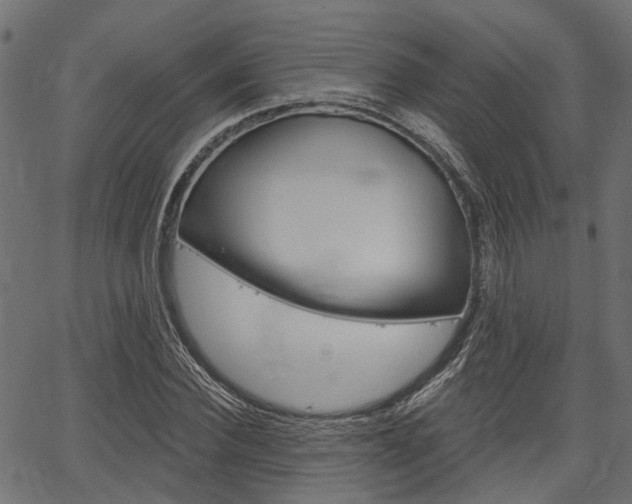 X0000067350924200603310856