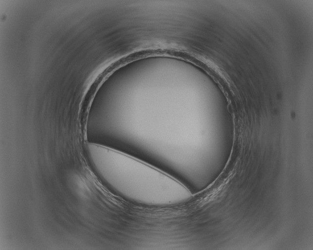 X0000067350927200603310856