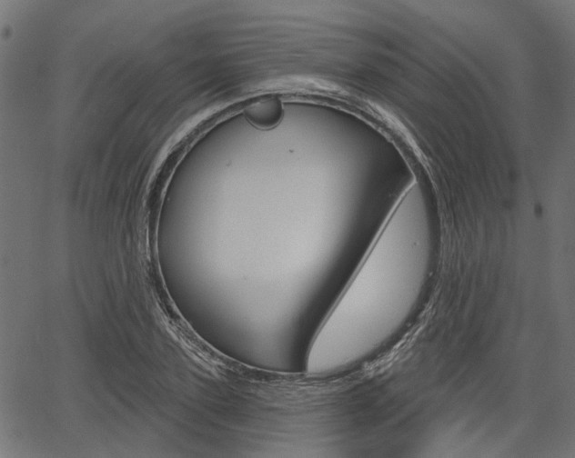 X0000067350931200603310856