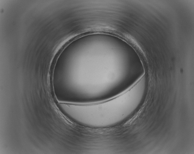 X0000067350932200603310856