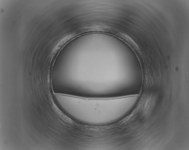 X0000067350938200603310856