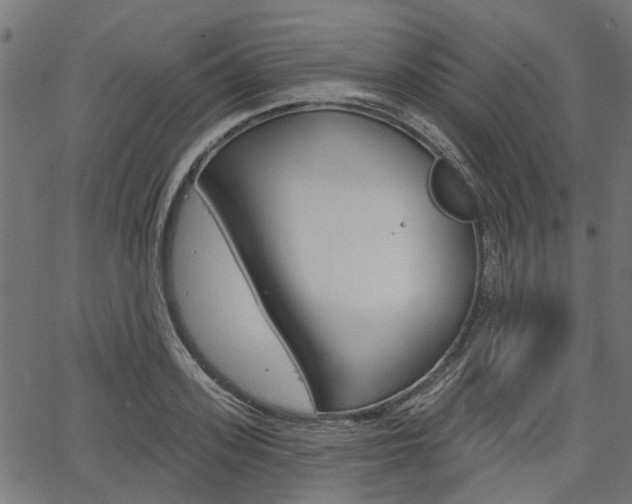 X0000067350939200603310856