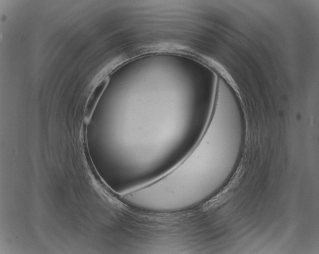 X0000067350946200603310856