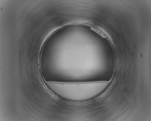 X0000067350948200603310856