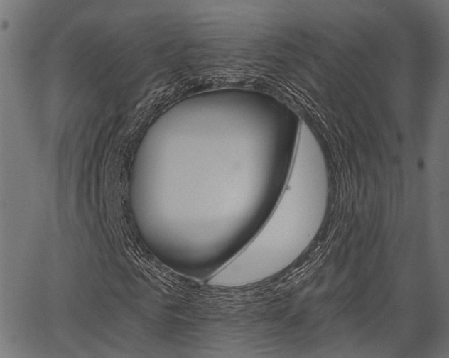 X0000067350961200603310856