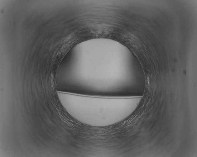 X0000067350963200603310856
