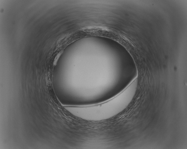 X0000067350965200603310856