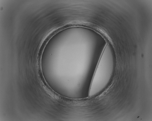 X0000067350976200603310855