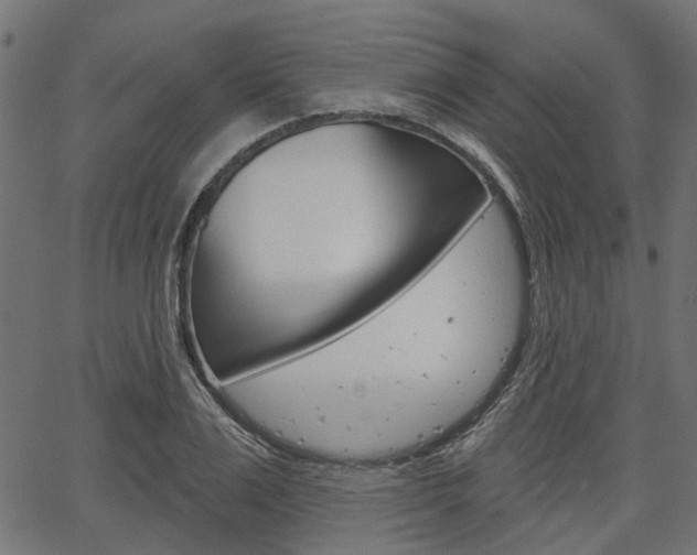 X0000067350983200603310855