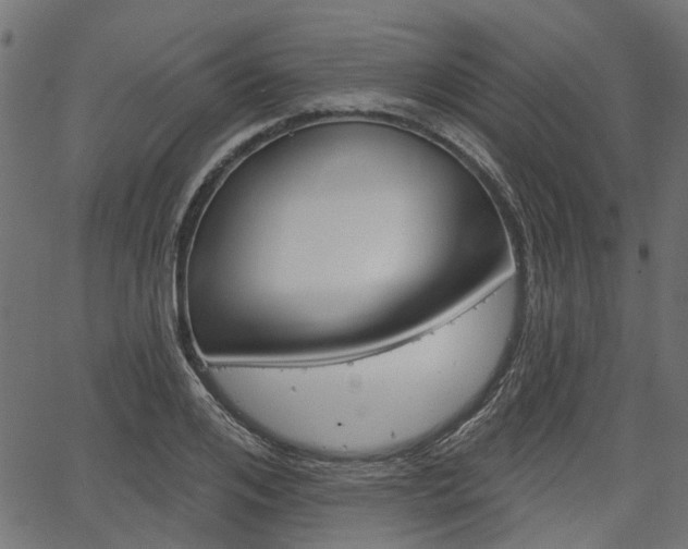 X0000067350984200603310855