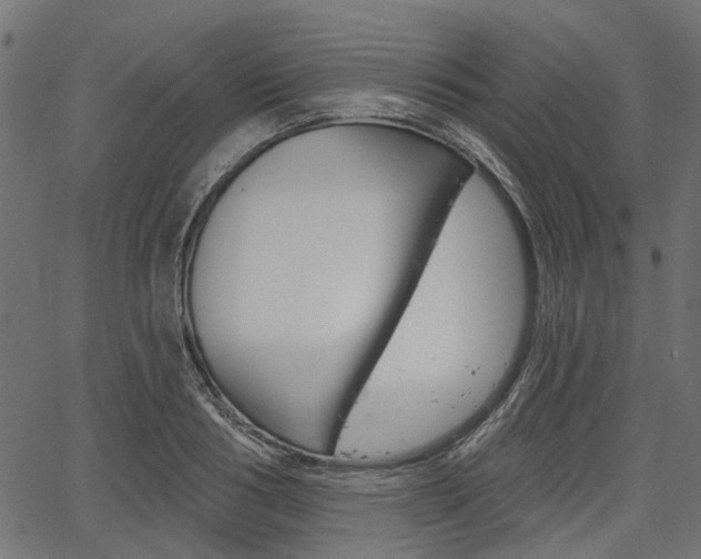 X0000067350986200603310855