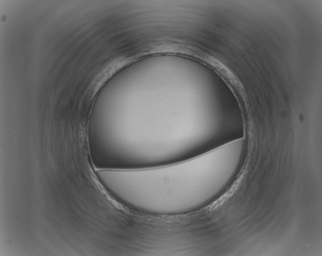 X0000067350993200603310855