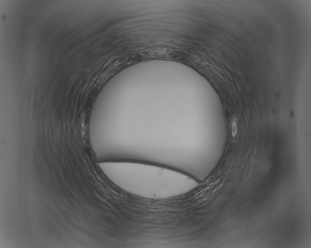 X0000067351011200603310854