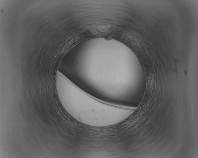 X0000067351012200603310854
