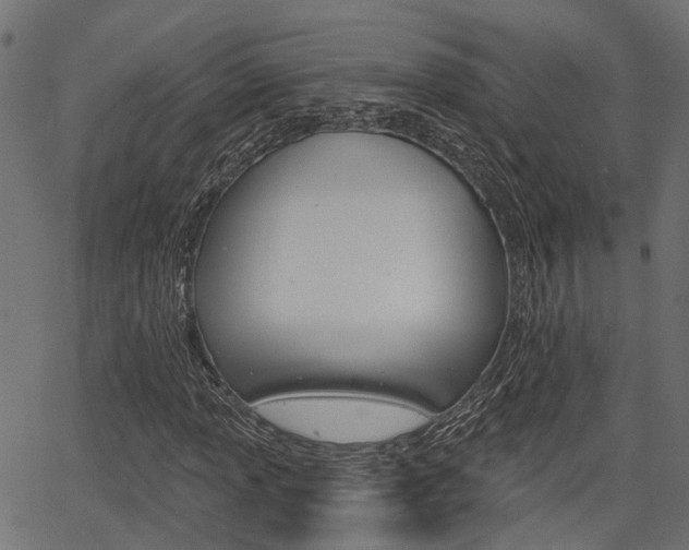 X0000067351013200603310854