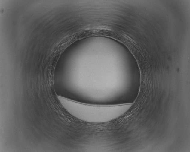 X0000067351014200603310854