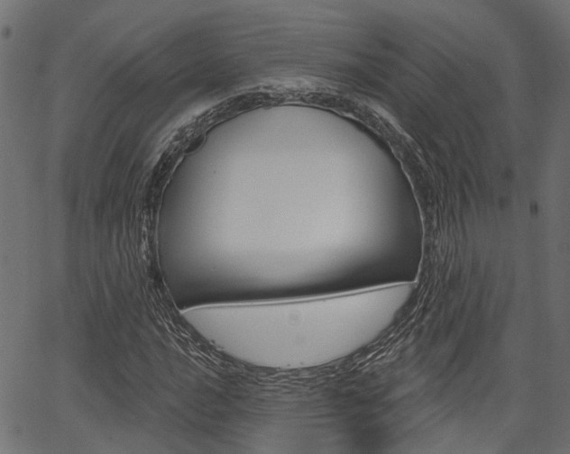 X0000067351016200603310854