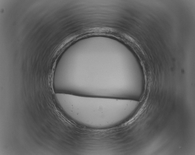 X0000067351017200603310854