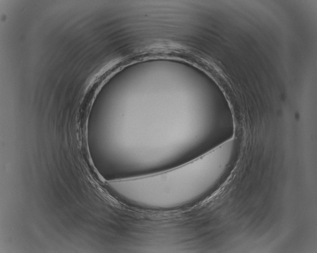 X0000067351018200603310854