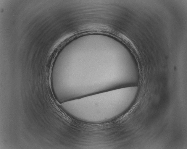 X0000067351019200603310854