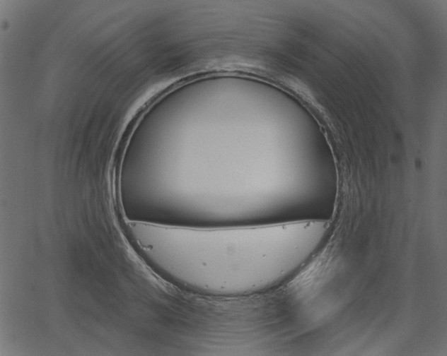 X0000067351032200603310855