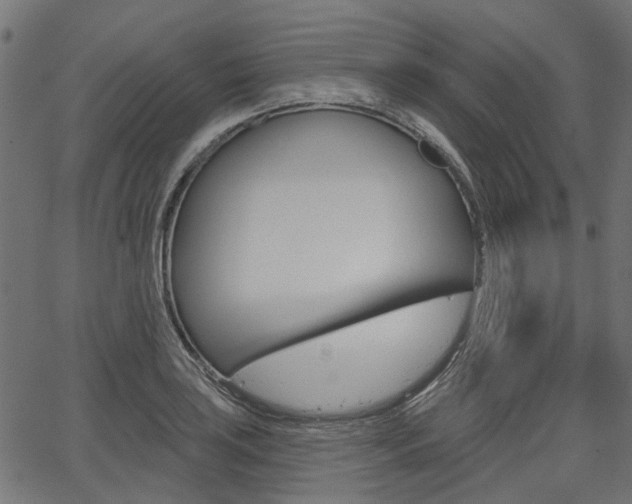 X0000067351035200603310855