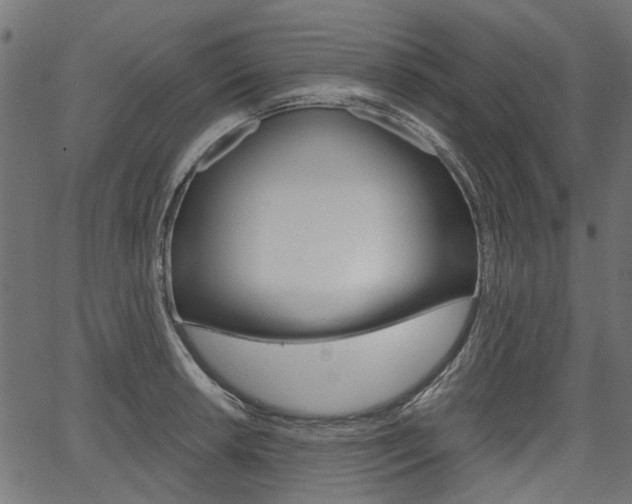 X0000067351042200603310855