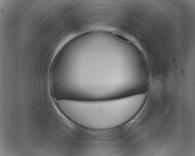 X0000067351048200603310855