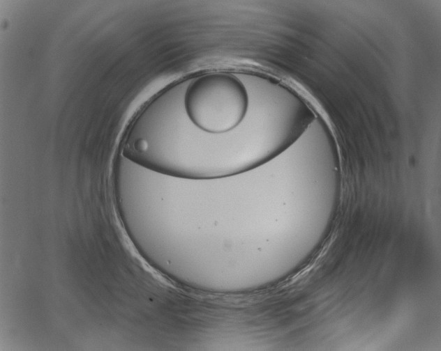 X0000067351053200603310855