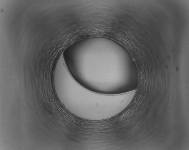 X0000067351057200603310854