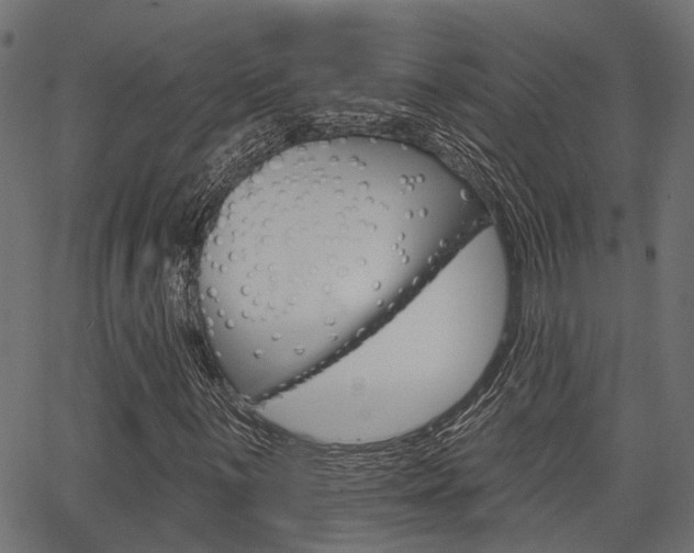 X0000067351059200603310854